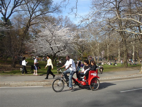 Man on bike pulling passengers in Central Park.